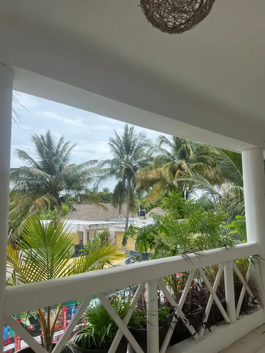 Vista desde el balcón